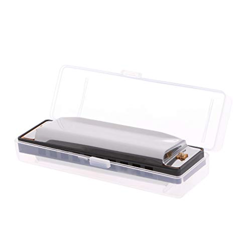 Blues Mundharmonika 10 Löcher für Tonart C Musikinstrument Edelstahl mit Fo Blues Mundharmonika 10 Löcher für Tonart C Musikinstrument Edelstahl mit Fo von ZwaitL
