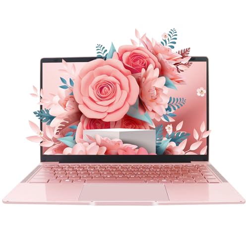 Zyphionix 14 Zoll Ultrabook Laptop, 8 GB RAM 512G SSD,Windows 11 Pro,Dünnes und leichtes Notebook,1920 x 1080 IPS,Celeron N4120(bis zu 2,5 GHz), Dual-WLAN, 2xUSB 3.0 von Zyphionix