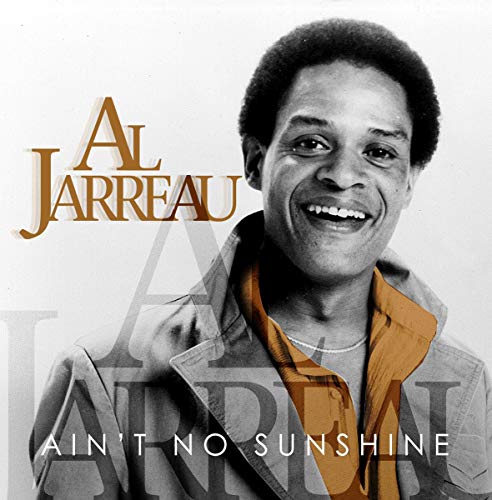 Ain't No Sunshine von Zyx Music (Zyx)
