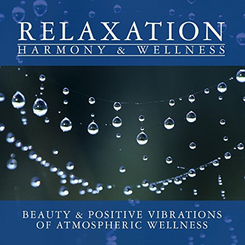 Atmospheric Wellness von Zyx Music (Zyx)