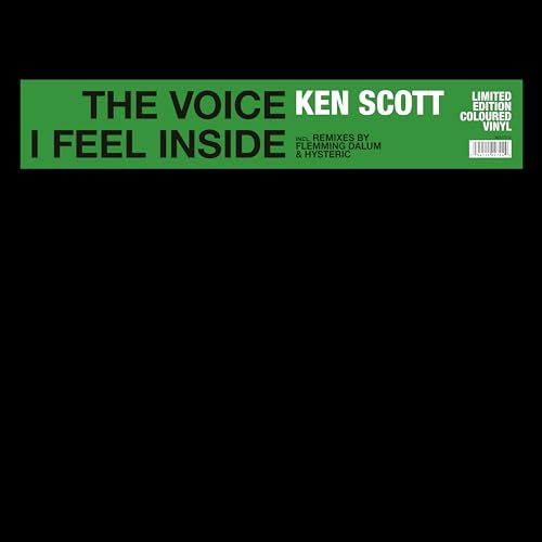 The Voice I Feel Inside [Vinyl Maxi-Single] von Zyx Music (Zyx)