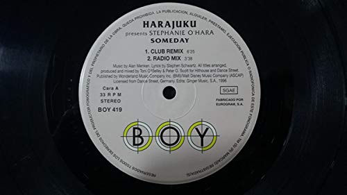 Someday [Vinyl LP] von Zyx Records