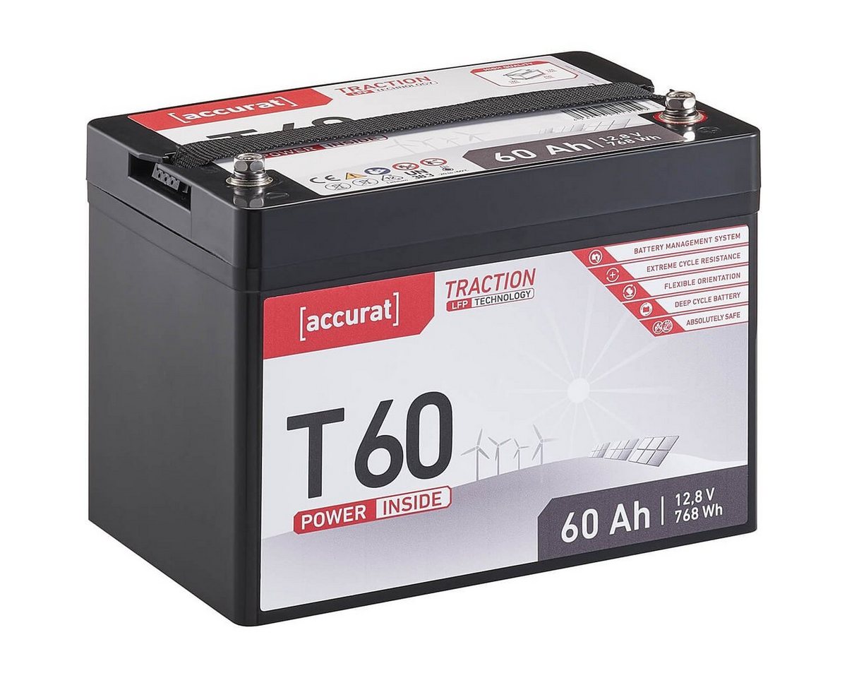 accurat 12V 60Ah LiFePO4 Lithium Batterie 768 Wh BMS Akku Batterie, (12 V V) von accurat