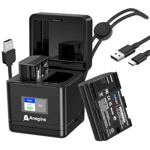 Anegine LP-E6P Akku 2750mAh und LCD Dual Ladegerät mit Schlüsselband für Canon EOS R5, EOS R5 II, EOS R5 Mark II, EOS R6, EOS R6 II, EOS R7 Kamera (2er-Pack) von anegine