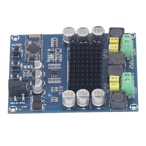 Power Amplifier Board 120W Digitaler Dual -Channel -Soundverstärker Verstärker DC12 Bis 24 V von aqxreight