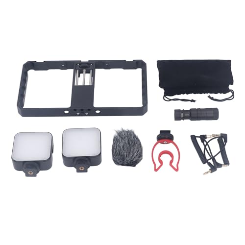 Smartphone -Video -Rig mit 1/4 3/8 in Gewinde mit Füllung Light Windproof Cover Microfon Universal Phone für Videoaufzeichnungen Smartphone -Video -Rig mit 1/4 3/8 in Gewinde mit Füllung Light Windproof Cover Microfon Universal Phone für Videoaufzeichnungen von aqxreight