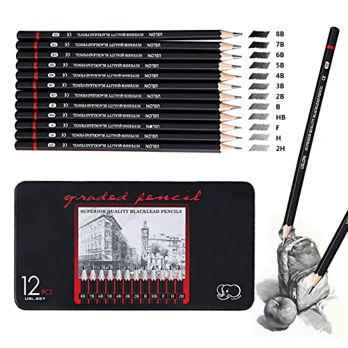 ariel-gxr Bleistift Set,12 Stück Zeichenstifte Skizzierstifte Set 8B 7B 6B 5B 4B 3B 2B B HB H 2H 4H Professionelle Bleistifte für Kinder Erwachsene Künstler Studenten Anfänger von ariel-gxr