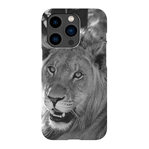artboxONE Premium-Case Handyhülle für Apple iPhone 14 Pro Junges Löwen Männchen in Afrika von THULA Photography von artboxONE