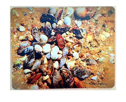 Mauspad Mousepad mit Fotodruck Muscheln Mauspad Mousepad mit Fotodruck Muscheln von artdee