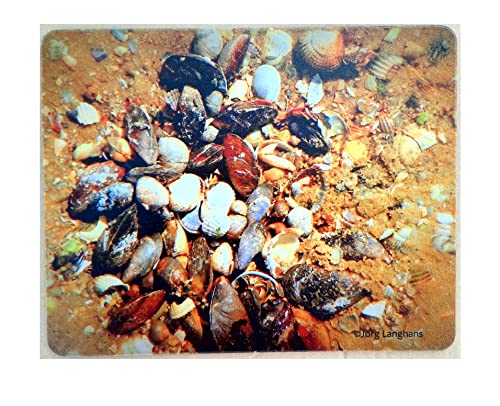 Mauspad Mousepad mit Fotodruck Muscheln von artdee