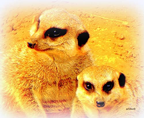 Mauspad Mousepad mit Fotomotiv Erdmännchen Mauspad Mousepad mit Fotomotiv Erdmännchen von artdee