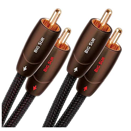 AudioQuest Big Sur Audiokabel, 2 x RCA auf 2 x RCA, Schwarz, Kupfer, 1 m von audioquest