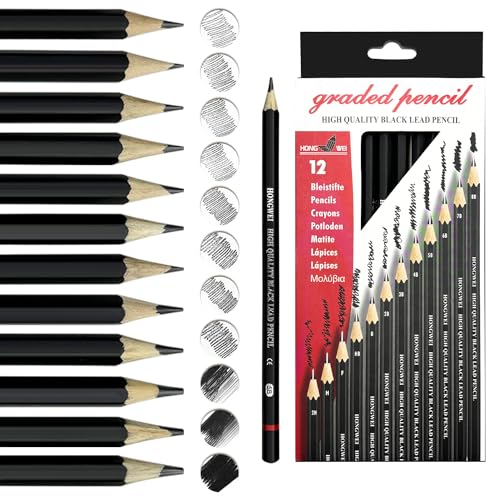 auriikoop Bleistift Set, 12 Stück Zeichenstifte, 2H H F HB B 2B 3B 4B 5B 6B 7B 8B, Professionell zum Zeichnen, für Künstler, Kinder, Erwachsene, Zeichnungen, Skizzieren Liebhaberin von auriikoop