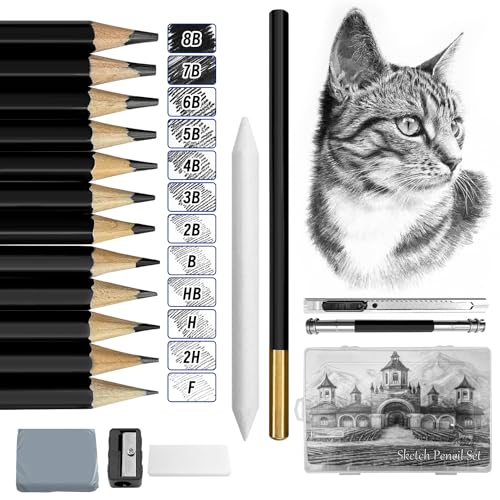 auriikoop Bleistift Set, 26 Zeichenstifte Set, HB B 2B 3B 4B 5B 6B 7B 8B F 2H H, Skizzienstifte mit Radiergummi und Spitzer, für Künstler, Kinder, Erwachsene, Zeichnungen, Skizzieren Liebhaberin von auriikoop