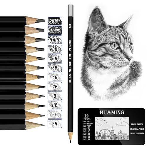 auriikoop Bleistifte Set, 12 Stück Zeichenstifte Set enthält 9 Bleistifte und 3 Graphitstifte, Hochwertige Zeichenstifte für Künstler, Kinderzeichnungen, Erwachsene, Zeichenanfänger von auriikoop