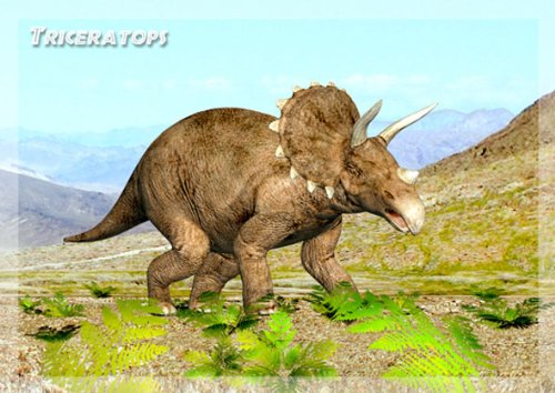 3D Postkarte "Triceratops" von authentic CARD