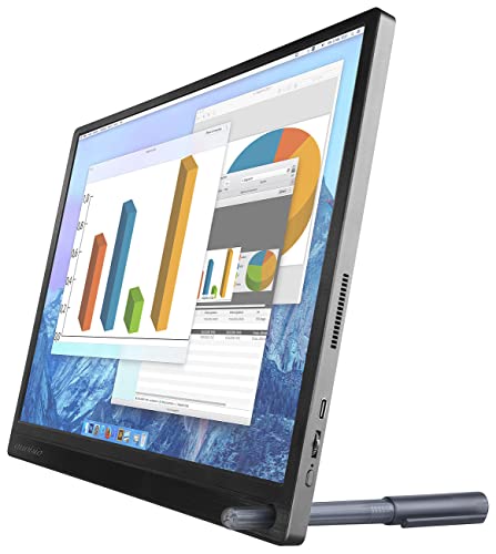auvisio Zusatz Monitor: Ultradünner Full-HD-IPS-Monitor, 39,6 cm (15,6"), USB-C, Mini-HDMI (tragbarer Monitor, Mobiler Bildschirm, Auto DVD Player) von auvisio