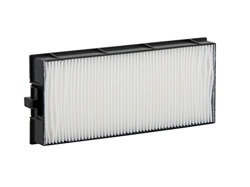 azurano Luftfilter Ersatz für PANASONIC ET-RFE300 für PT-EW540EL, PT-EW540E, PT-EW540LE, PT-EW540LU, PT-EW540L, PT-EW540UL, PT-EW540U, PT-EW540, PT-EW550EL, PT-EW550E, PT-EW550L, PT-EW550, PT-EW640EL, von azurano