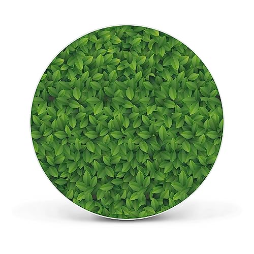 banjado® Design Magnettafel rund Größe Ø 47cm mit Motiv Grüne Blätter - magnetische Pinnwand/Magnettafel aus Metall/Memoboard für Küche, Büro & Kinderzimmer mit Magneten & Montageset von banjado