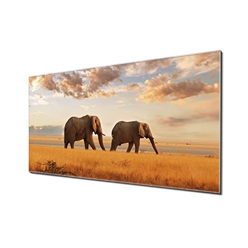 banjado® Glas Magnettafel mit 4 Magneten - Magnetwand 100x50cm mit Motiv Elefanten - Memoboard/Pinnwand magnetisch, beschreibbar, perfekt für die Küche - Magnetboard auch als Wandbild/Wandtafel von banjado