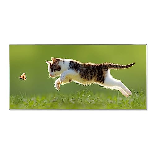 banjado® Magnettafel 78 x 37cm / Magnetwand aus Metall/Magnetpinnwand als Memoboard/Pinnwand Magnettafel Küche, Büro, Kinderzimmer inkl. 4 Magnete & Montageset - Jagende Katze von banjado