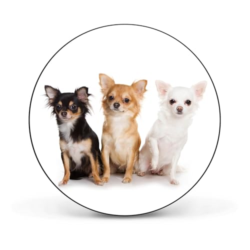 banjado® Magnettafel Ø 47cm schwarz/Magnetwand aus Metall/Magnetpinnwand als Memoboard Pinnwand Magnettafel Küche, Büro, Kinderzimmer inkl. 4 Magnete & Montageset - Motiv Chihuahua von banjado