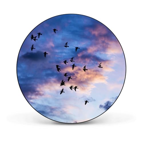 banjado® Magnettafel Ø 47cm schwarz/Magnetwand aus Metall/Magnetpinnwand als Memoboard Pinnwand Magnettafel Küche, Büro, Kinderzimmer inkl. 4 Magnete & Montageset - Motiv Vögel am Himmel 3 von banjado
