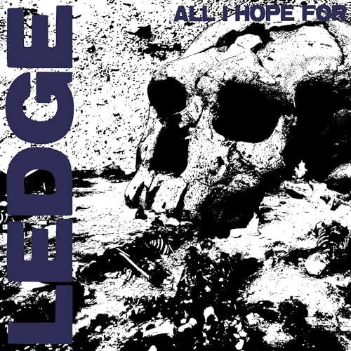 All I Hope For [Vinyl LP] von TRANSLATION LOSS