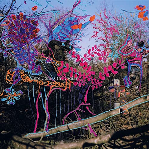 Animal Collective - Here Comes the Indian (Vinyl/LP)