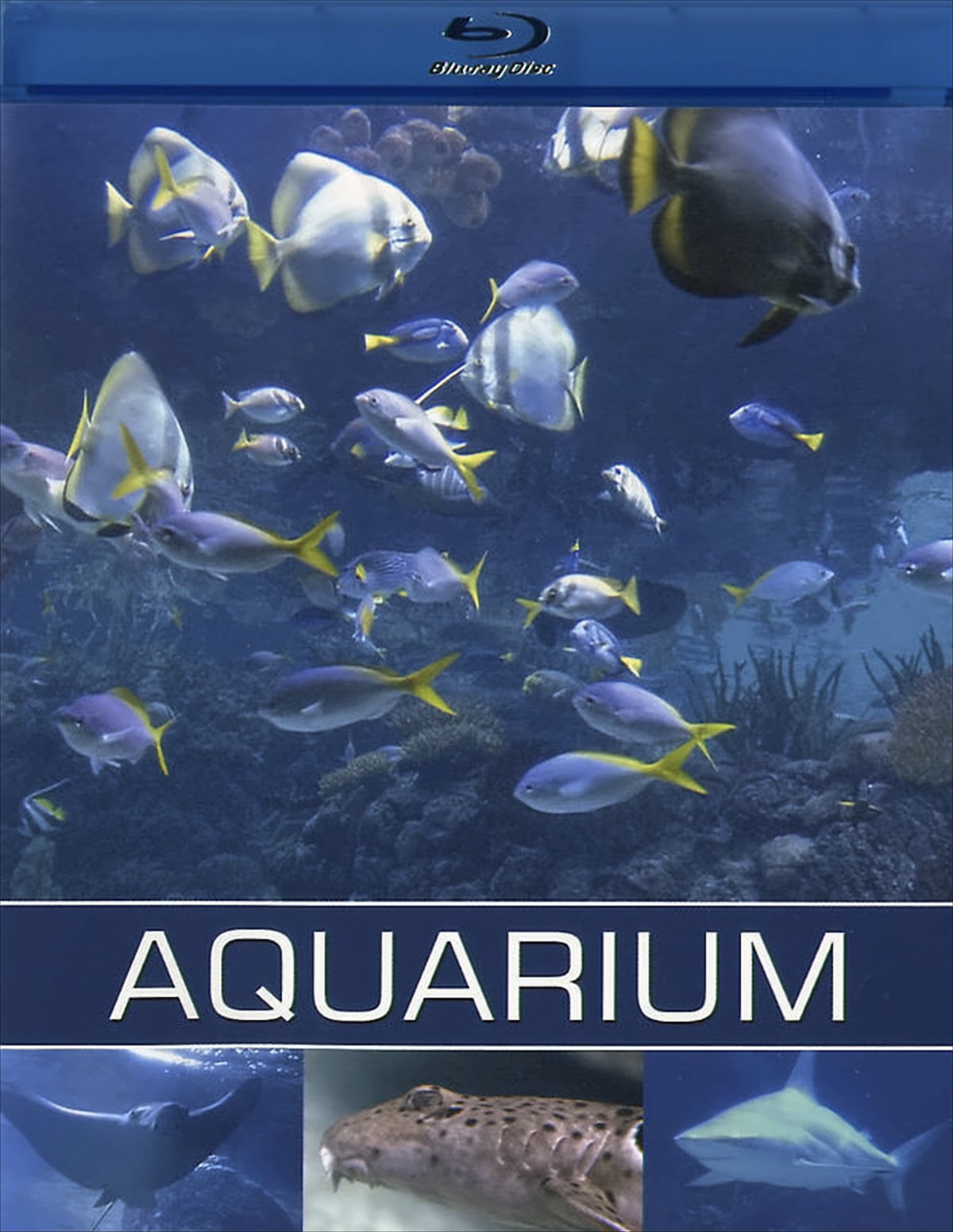 Aquarium Aquarium