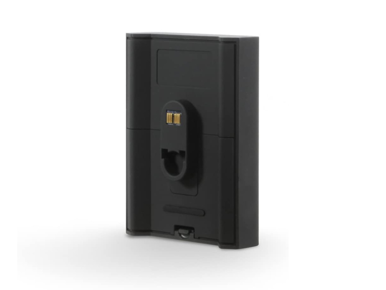 Bluesound Pulse Flex Akkupack BP100 schwarz