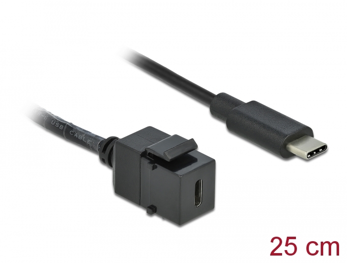 Delock Keystone Modul USB 3.0 C Buchse > USB 3.0 C Stecker mit Kabel Delock Keystone Modul USB 3.0 C Buchse > USB 3.0 C Stecker mit Kabel