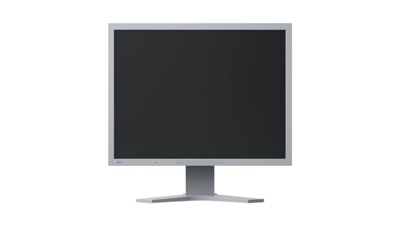 EIZO FlexScan S2133-GY LED-Monitor 54 cm 21,3 Zoll lichtgrau