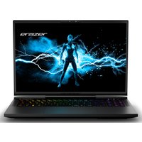 ERAZER ERAZER Beast X40, Intel® Core™ i9-14900HX, Windows 11 Home, 43,2 cm (17") QHD+ Display 100% sRGB mit 240 Hz, NVIDIA® GeForce RTX™ 4080, 1 TB PCIe SSD, 32 GB RAM, High-End Gaming Notebook