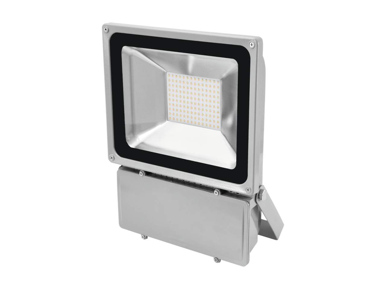 EUROLITE LED IP FL-100 6400K