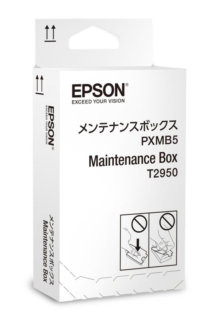 Epson Original Resttintenbehälter für WF-100W (C13T295000)