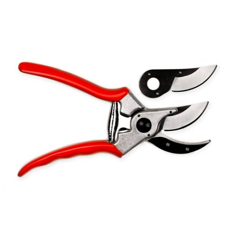 Felco 2 Astschere mit kostenloser Ersatzklinge von Felco
