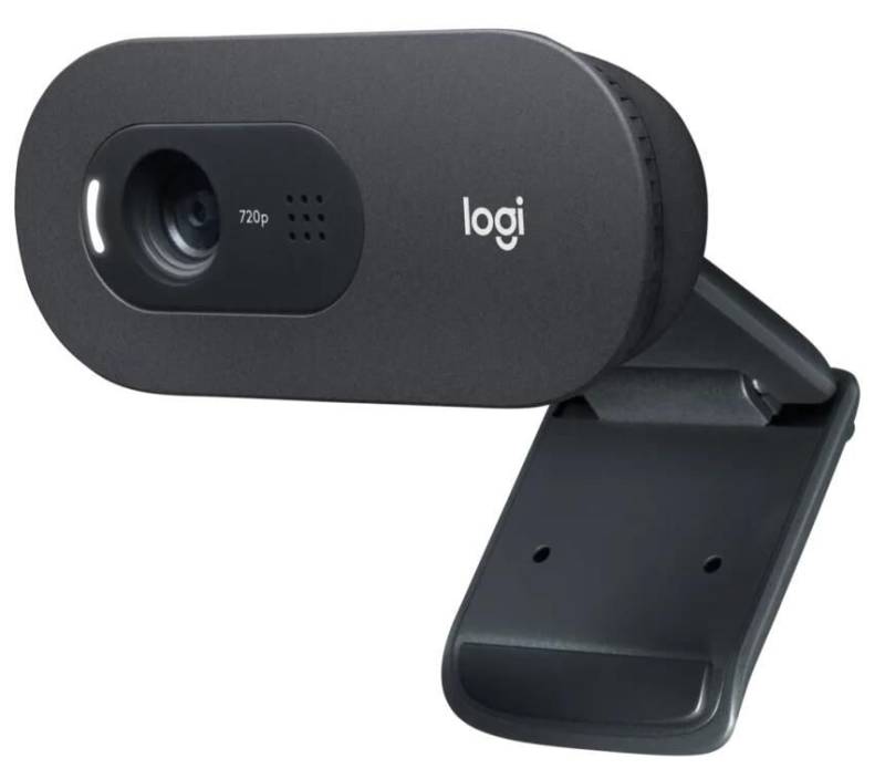 Logitech C505 HD Webcam