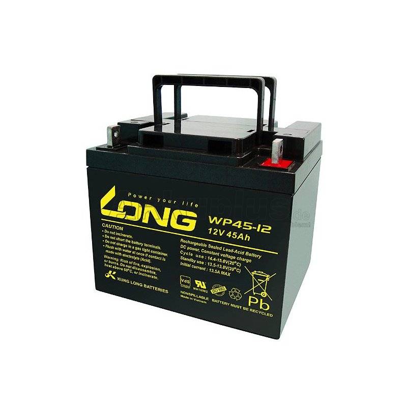 Long - WP45-12 - 12 Volt 45Ah Pb