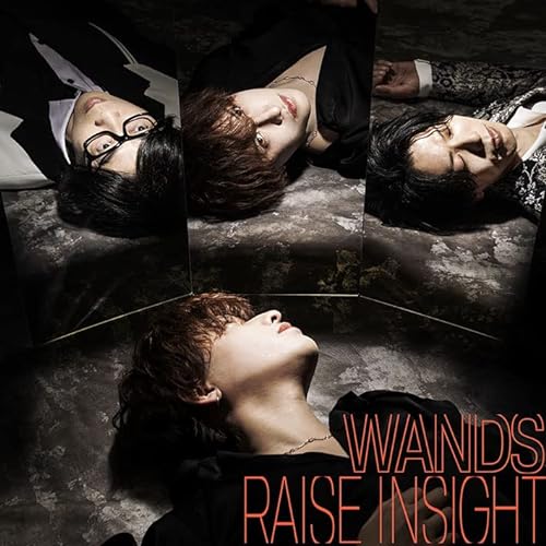 「RAISE INSIGHT」 (通常盤) (Blu-ray Disc付)