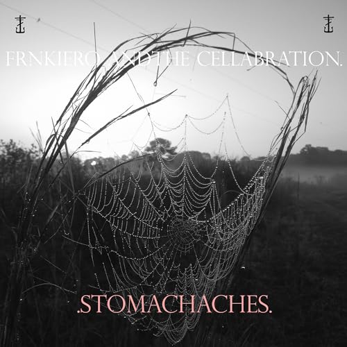 Stomachaches [Vinyl LP] von Vagrant Records