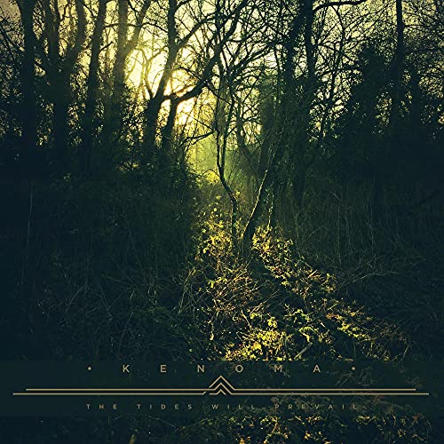 The Tides Will Prevail [Vinyl LP] von TRANSLATION LOSS