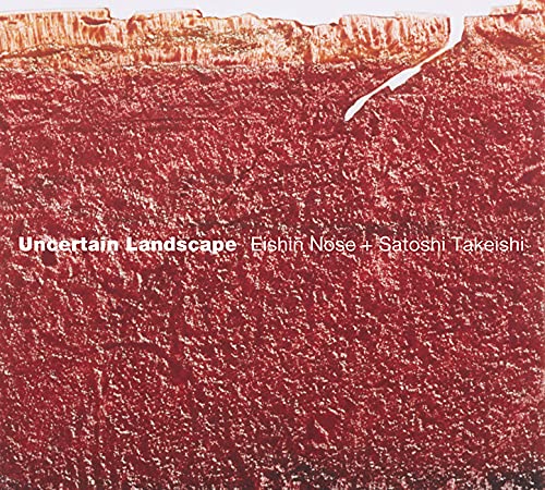 Uncertain Landscape (LP) [Analog]