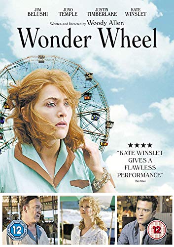 Wonder Wheel [DVD] [2017] [2018] von entertainment-alliance