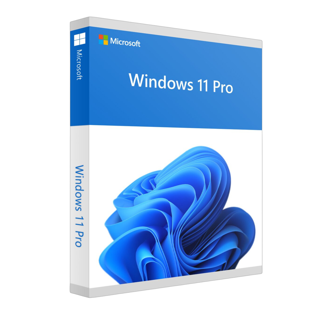 Windows 10/11 Home Windows 10/11 Home