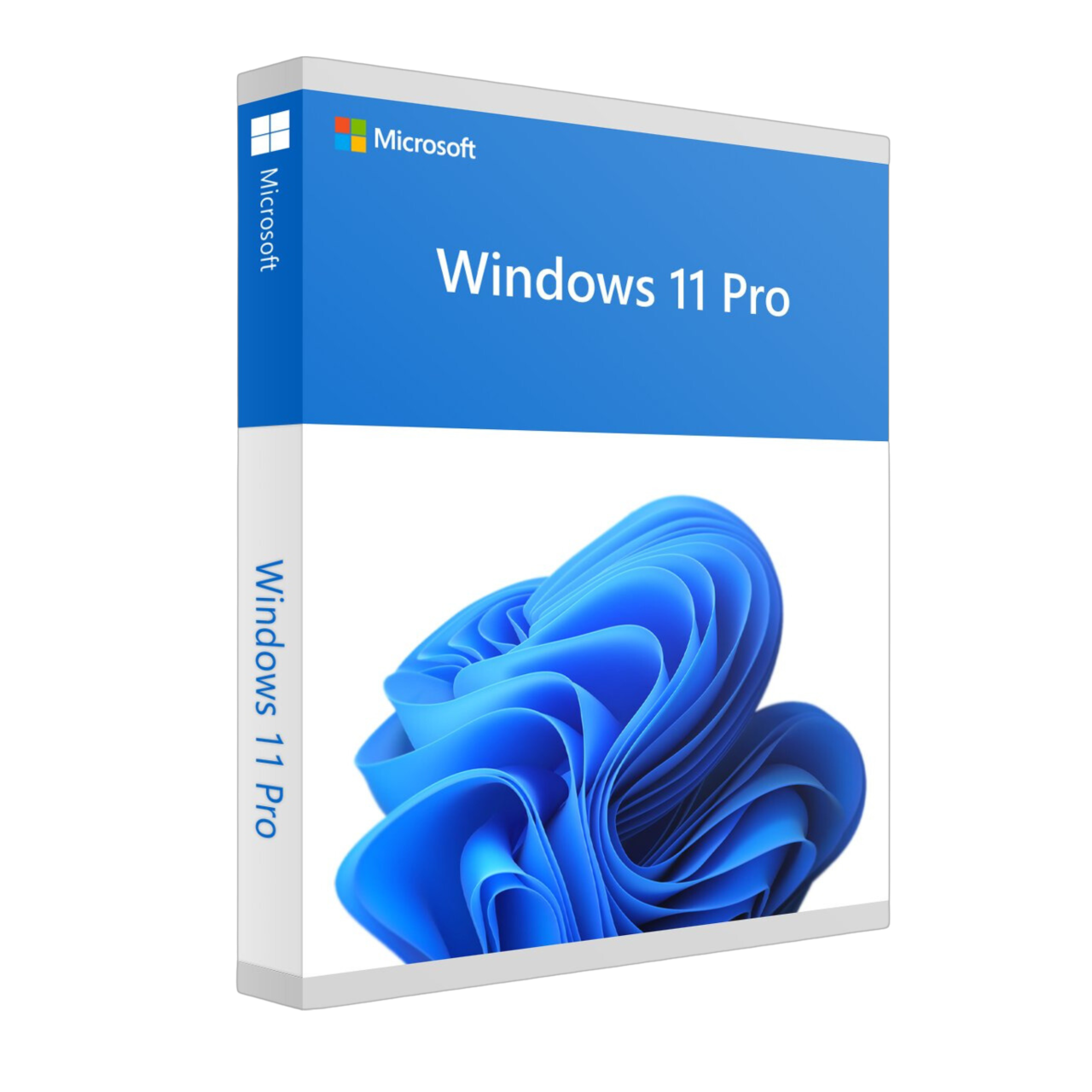 Windows 10/11 Home