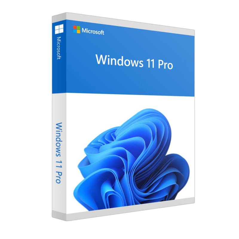 Windows 10/11 Home