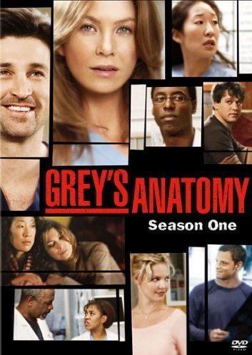 grey's anatomy - stagione 01 (2 dvd) box set