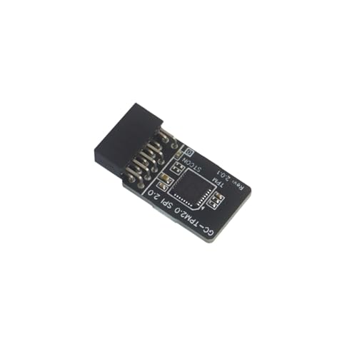 bnsggl Computer Adapterplatine Für TPM2.0 SPI 2.0 (12-1) Pin Verbindungsport Verbessert Sicherheitsmodul von bnsggl