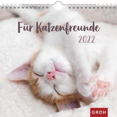 Für Katzenfreunde - Kalender 2022 - Monatskalender - Groh-Verlag - Wandkalender mit stimmungsvollen Fotografien und Zitaten - 21 cm x 20 cm von brand-name